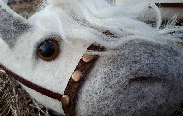 horseslipper1