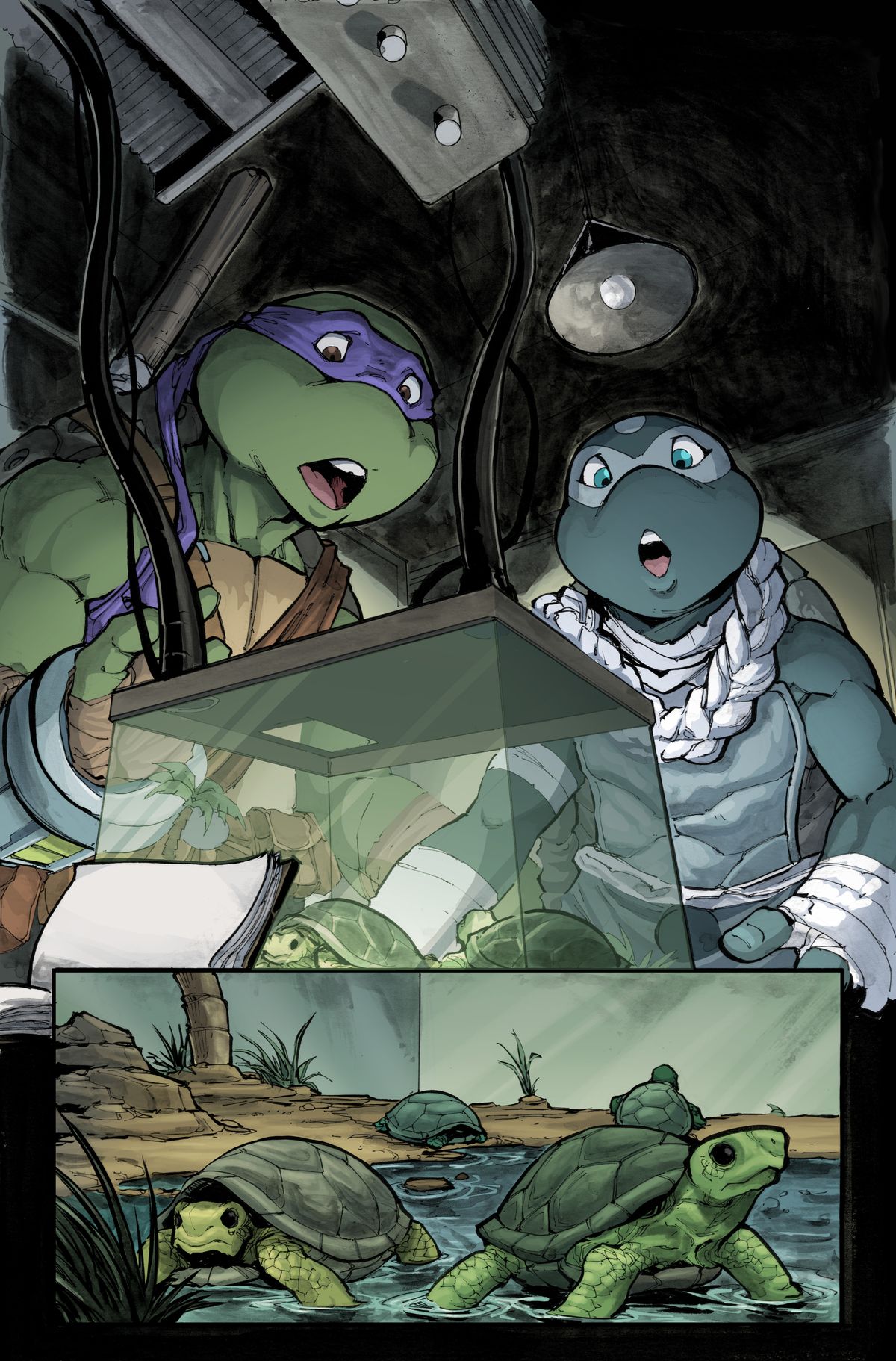 Covers from Teenage Mutant Ninja Turtles #150
