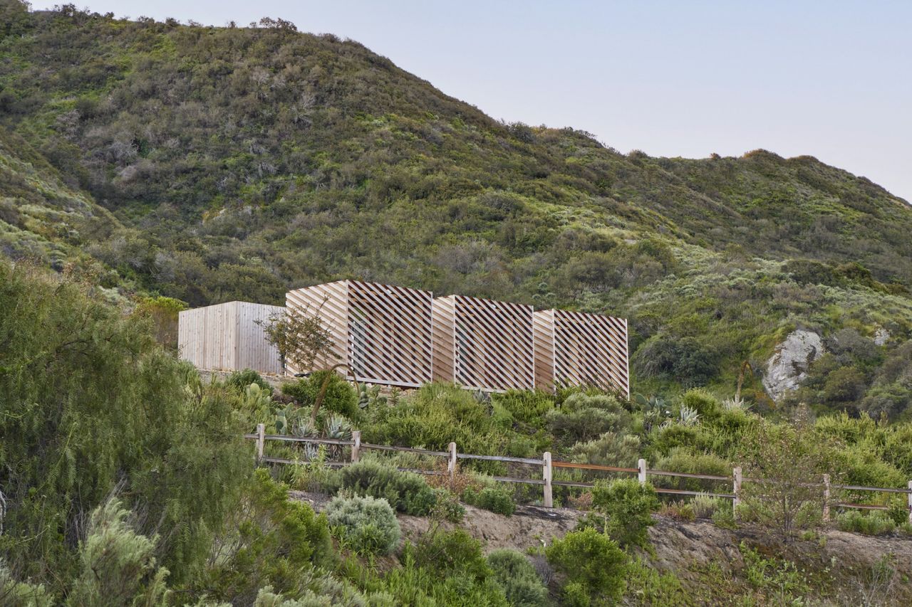 Terremoto structures in wild garden