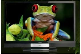 vizio frog