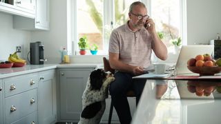 Dog jumping up and putting paws on man&#039;s leg who is working at his laptop in kitchen 