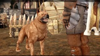 the best dragon age: origins mods: Dog companion