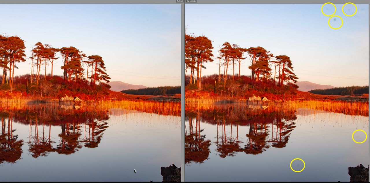 I just discovered this new tool for removing dust from my photos – and it's magic!