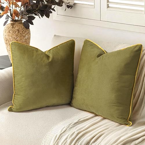 Aels Modern Geometric Textured Throw Pillow Covers 18x18, Set of 2, Decorative Pillow Case, Boho Farmhouse Cushion Case for Bed Couch Sofa, Green Yellow(covers Only)