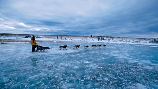 The Iditarod Trail