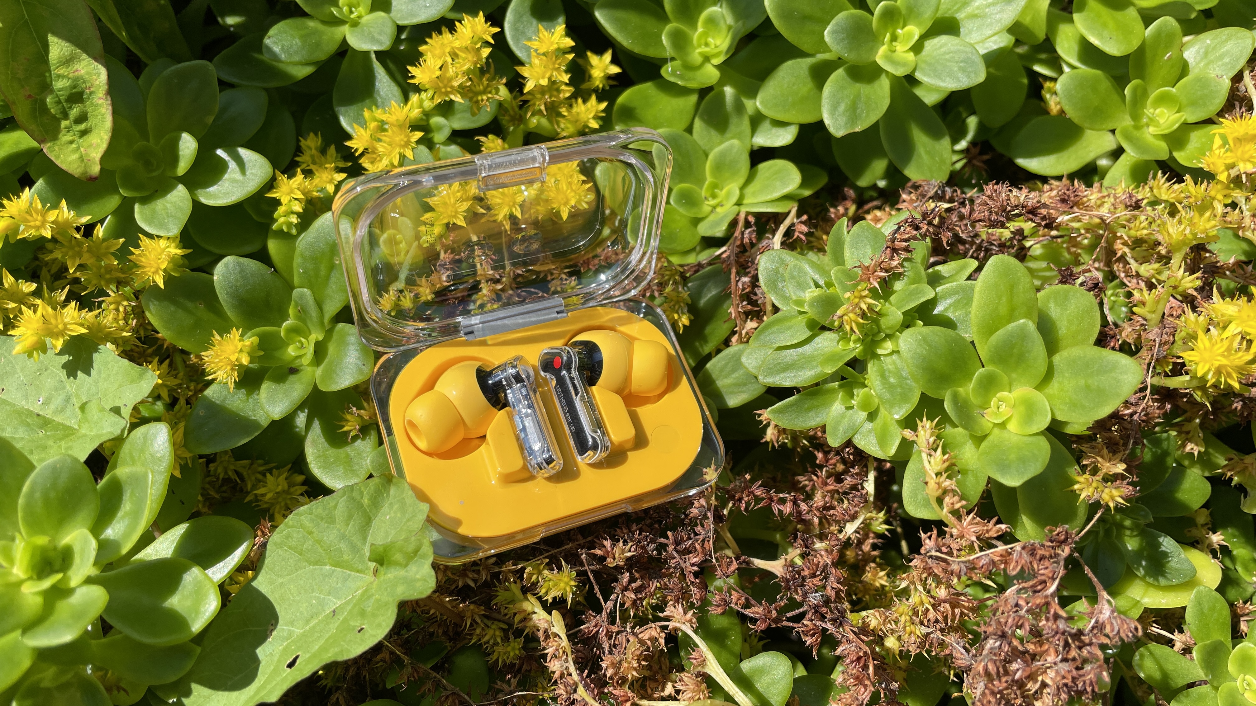 Nothing Ear (a) earbuds in yellow, on a grass lawn alongside yellow flowers, on a sunny day