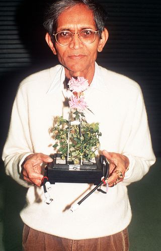 International Flavors and Fragrances Inc., Dr. Braja Mookherjee with the Overnight Scentsation rose plant after its flight aboard NASA's shuttle mission STS-95.