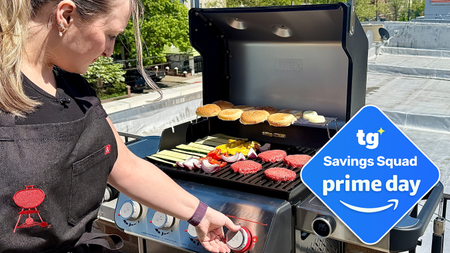 Weber Spirit grill