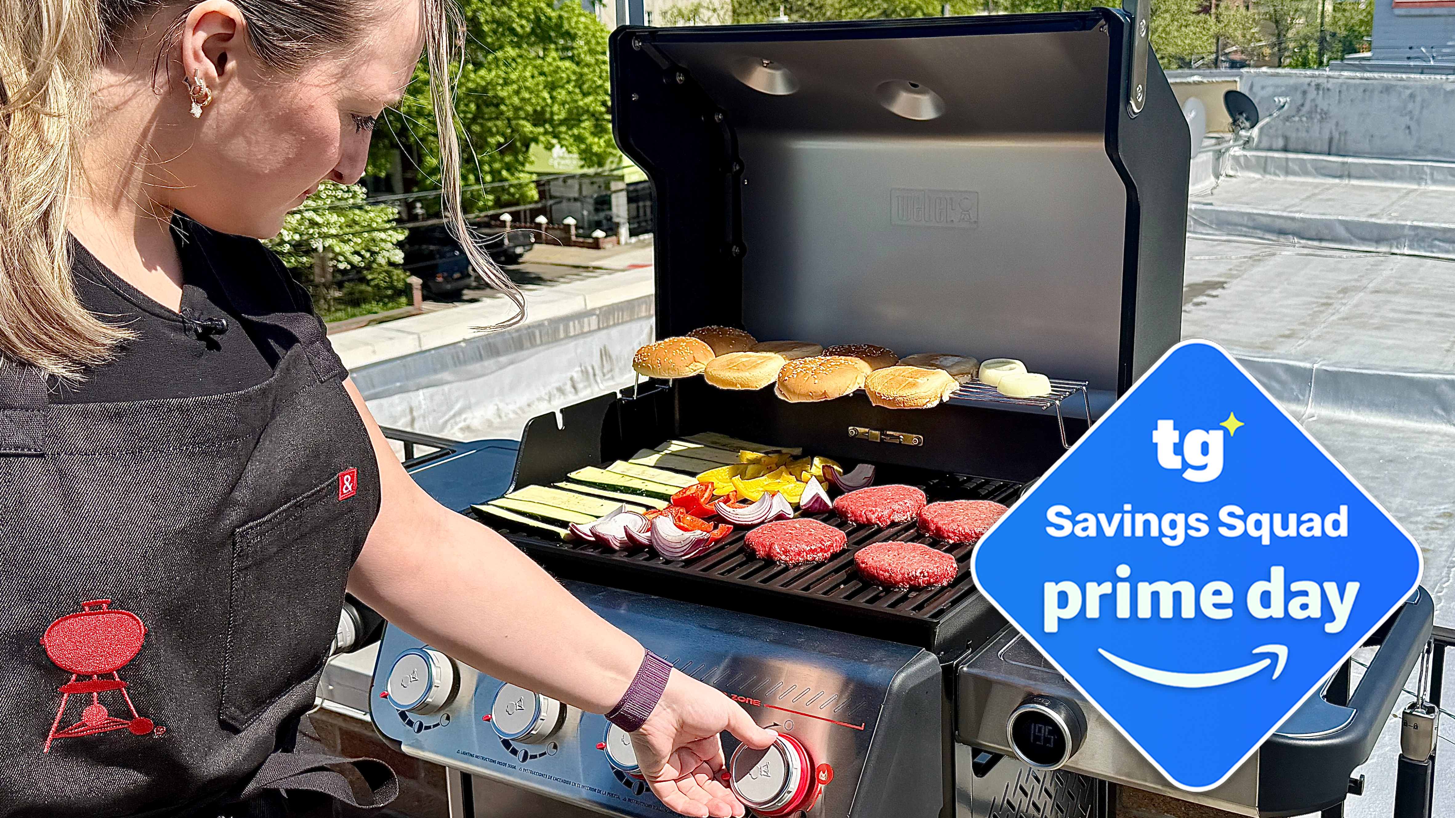 Weber Spirit grill