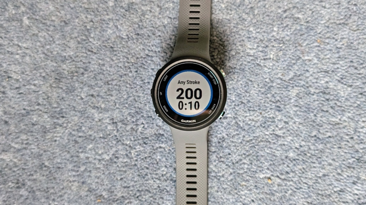  Garmin Swim 2 GPS Swimming Smartwatch with Wearable4U Power  Pack Bundle (Whitestone) : Electronics
