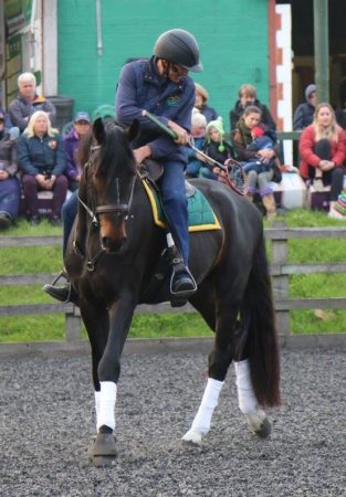 colt-e1496135757462.jpg