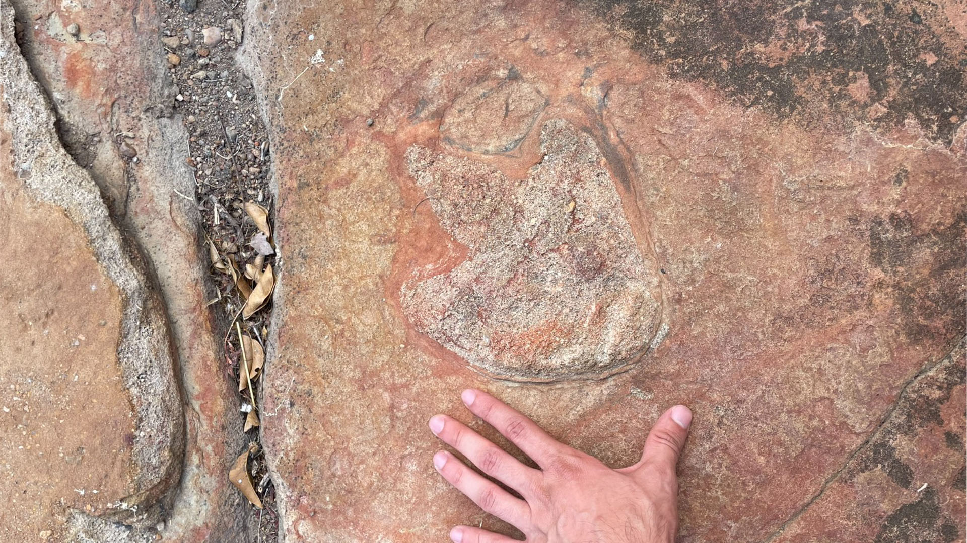 Более 9000 лет назад индейцы Бразилии оставили рисунки рядом со следами динозавров