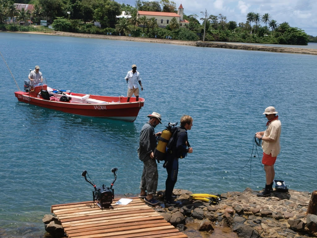 A group of people stand on shore while another two stand in a boat on the water