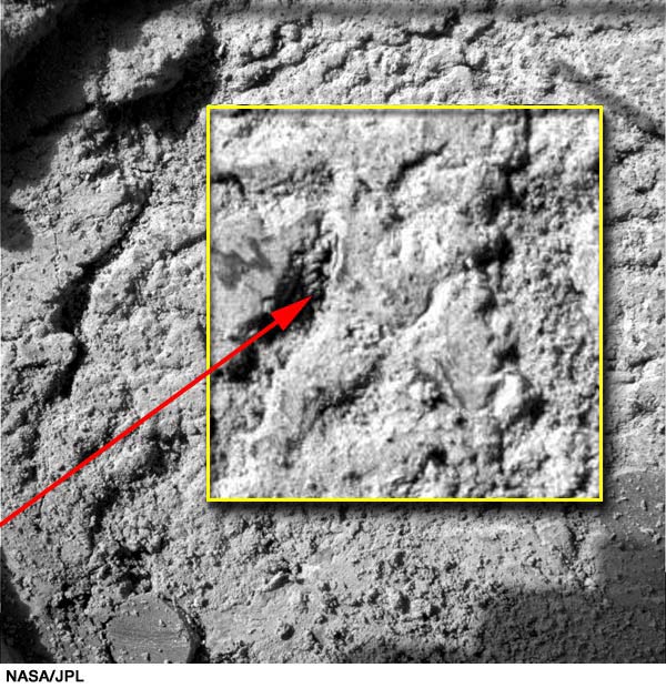 Is There Life on Mars? Looking for Rock Solid Evidence