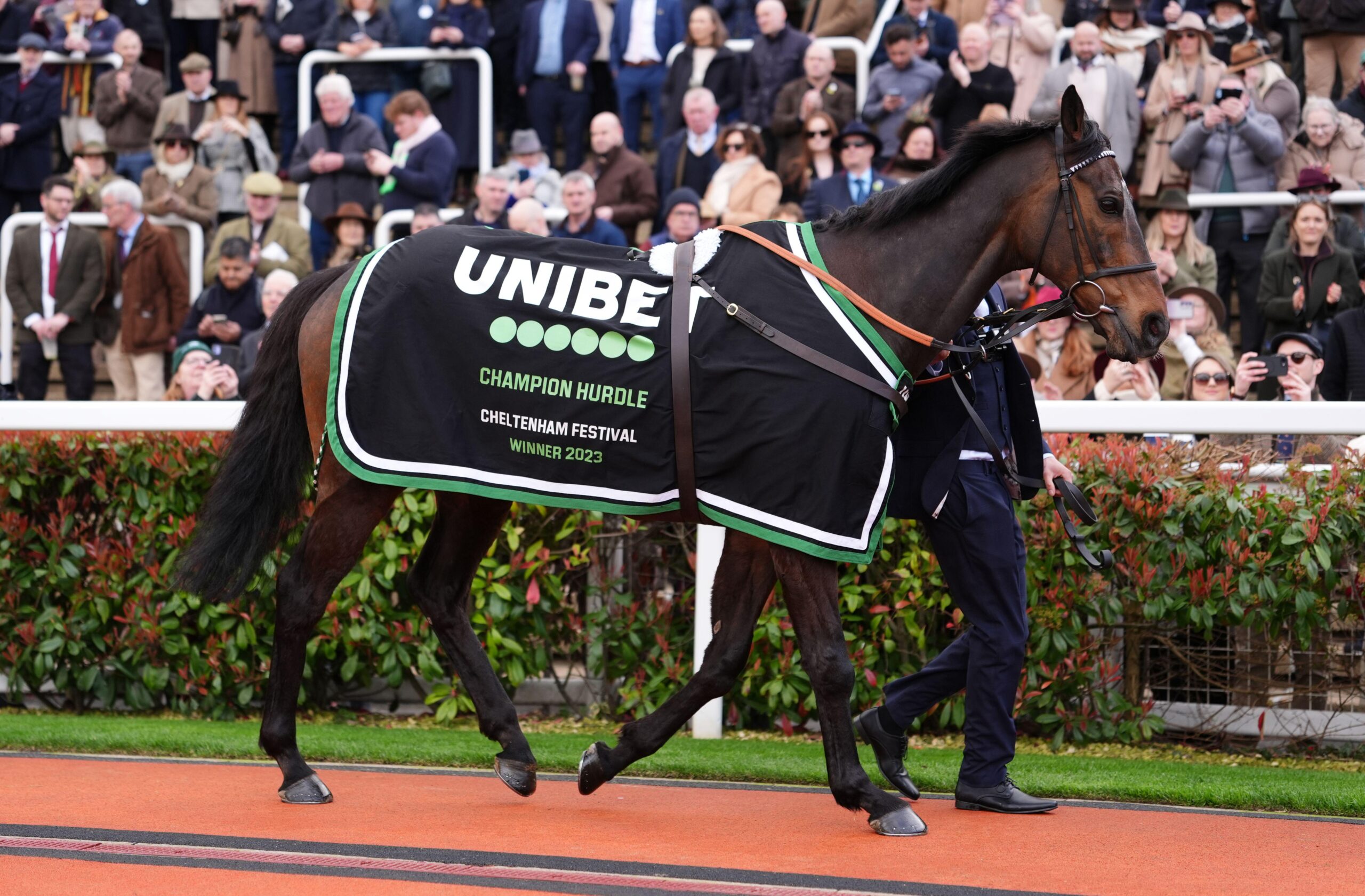 Constitution Hill pays his final visit to Cheltenham racecourse.