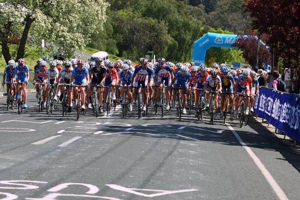 The bunch climbs on the sunny streets of Geelong