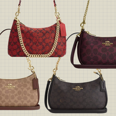 Coach Teri Bag