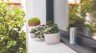 Smart garden products every homeowner should own - Netatmo Weather Station