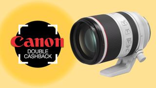Canon double cashback deals on lenses