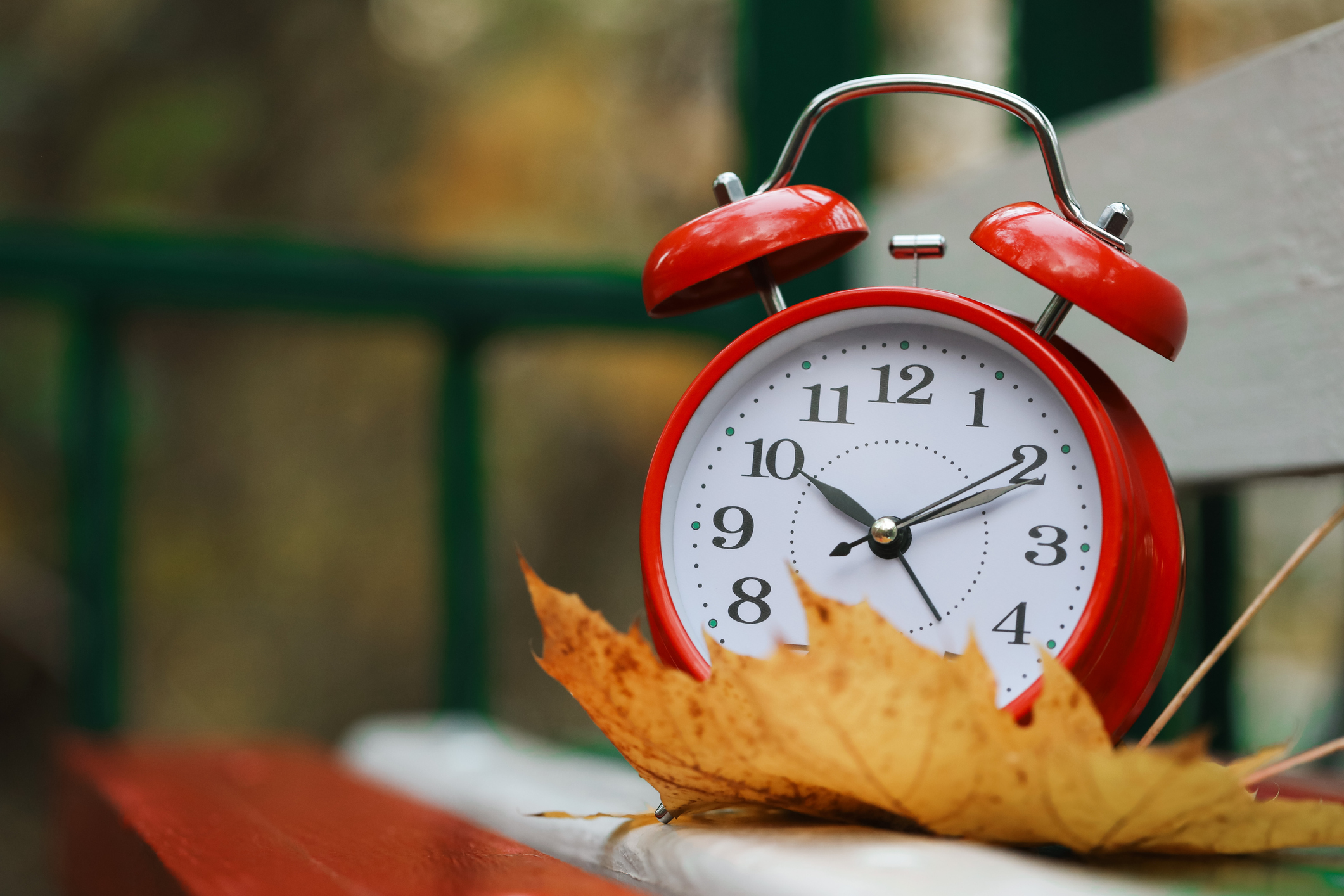 red alarm clock with an autumn leaf resting upon a park bench