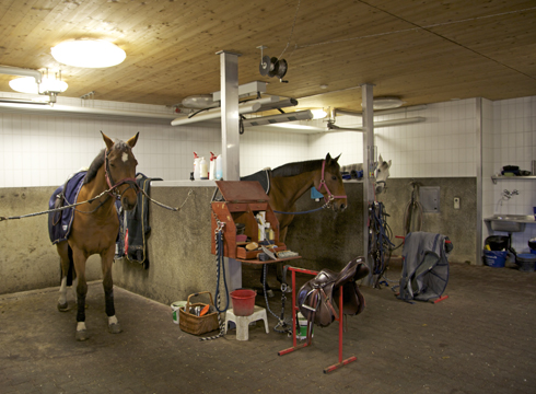 Behind the scenes with Olympic champion Steve Guerdat