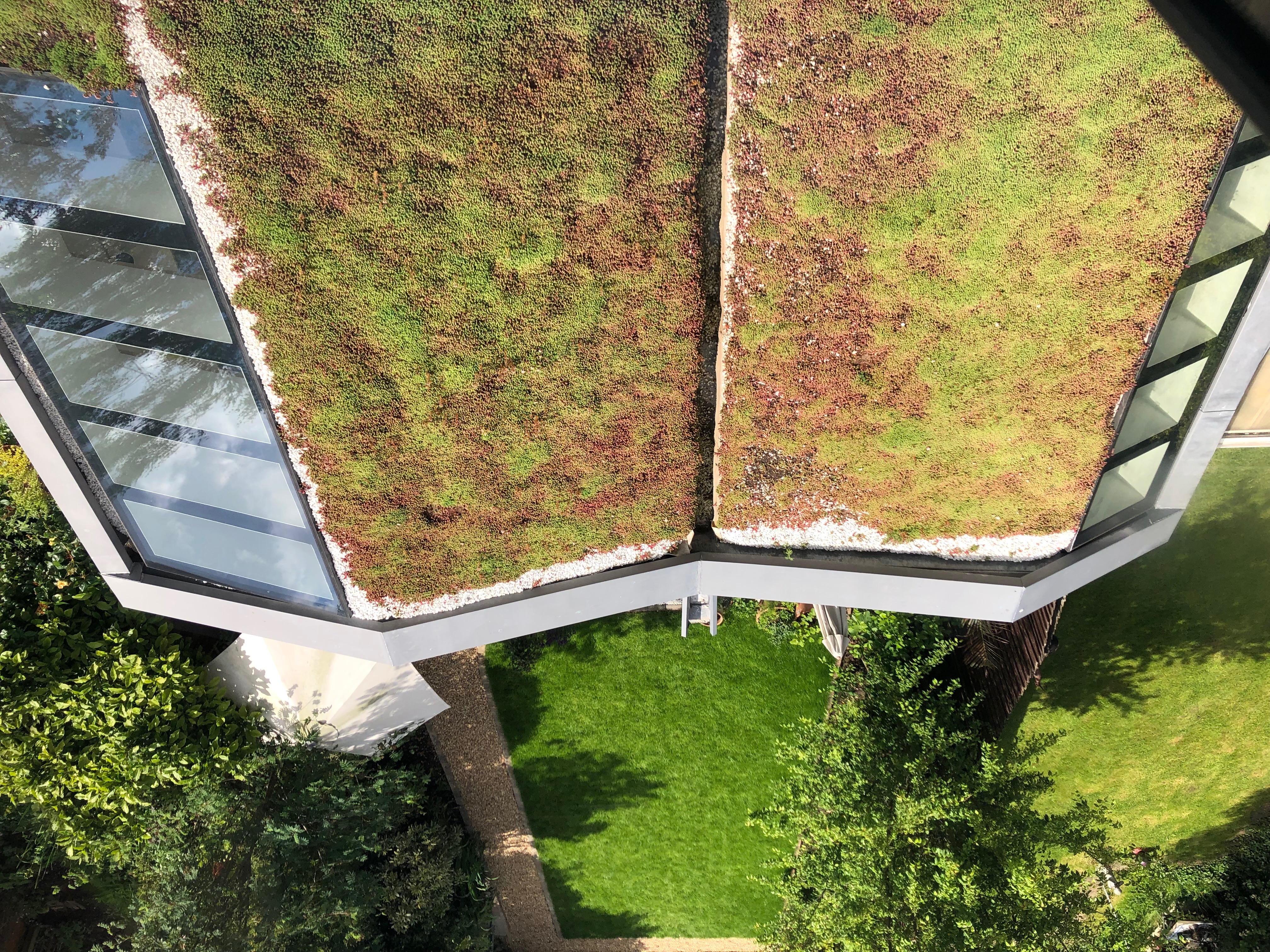 Pekkadillo Manchuria atmósfera Green Roofs: Types, Costs & Installation | Homebuilding