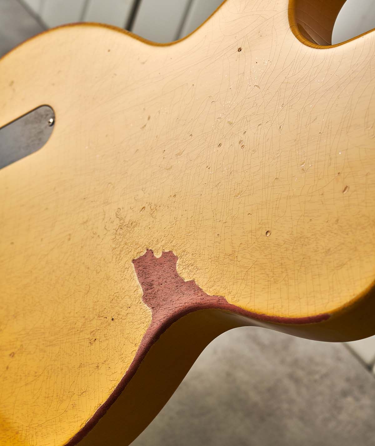 Gibson Murphy Lab Collection
