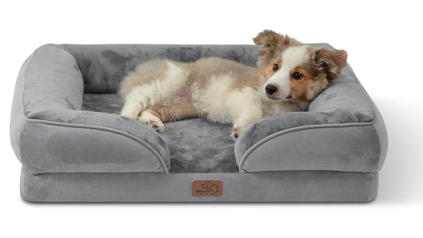 Bedsure orthopaedic sofa. bed with dog lying down