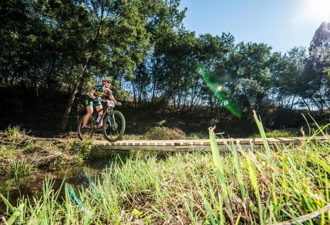 On her birthday, veteran Jeannie Dreyer claimed eighth place in the women's race of the UCI MTB Marathon World Championships on Sunday.
