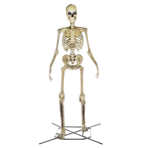 8' Skeleton: $349