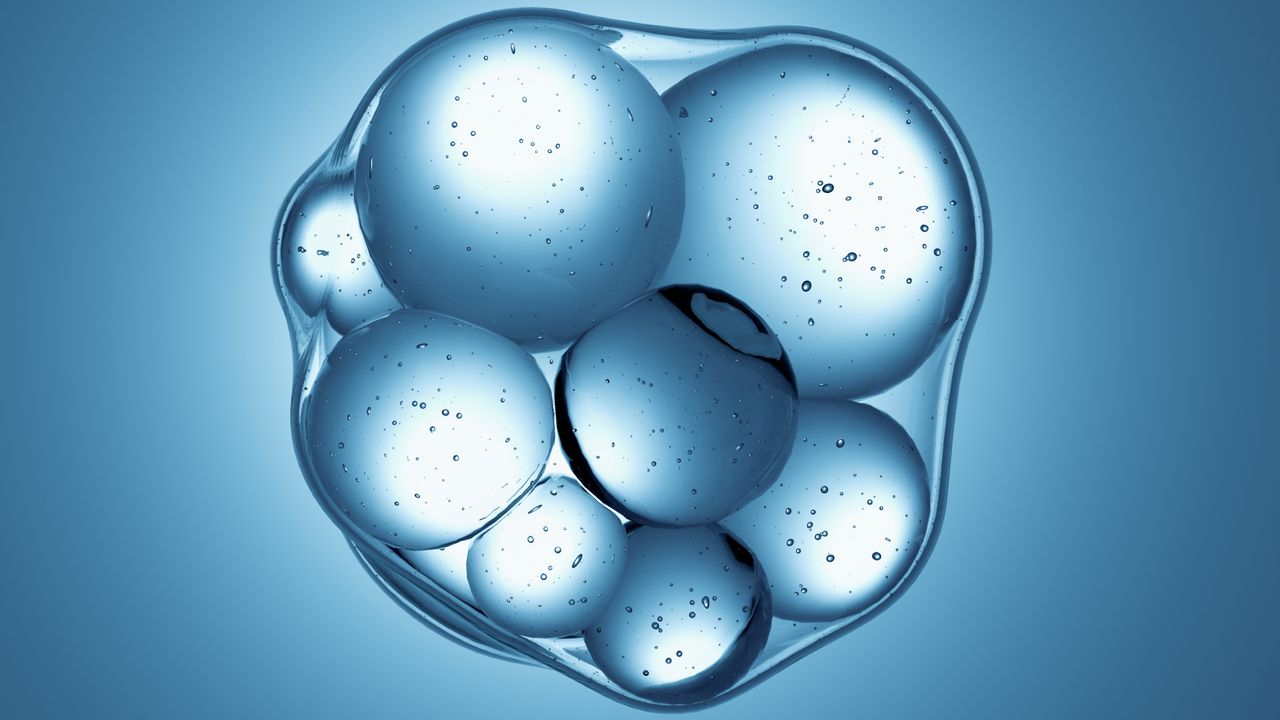 New synthetic cells tiptoe toward creating life