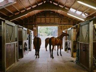 arc polo farm by droo horses in stables