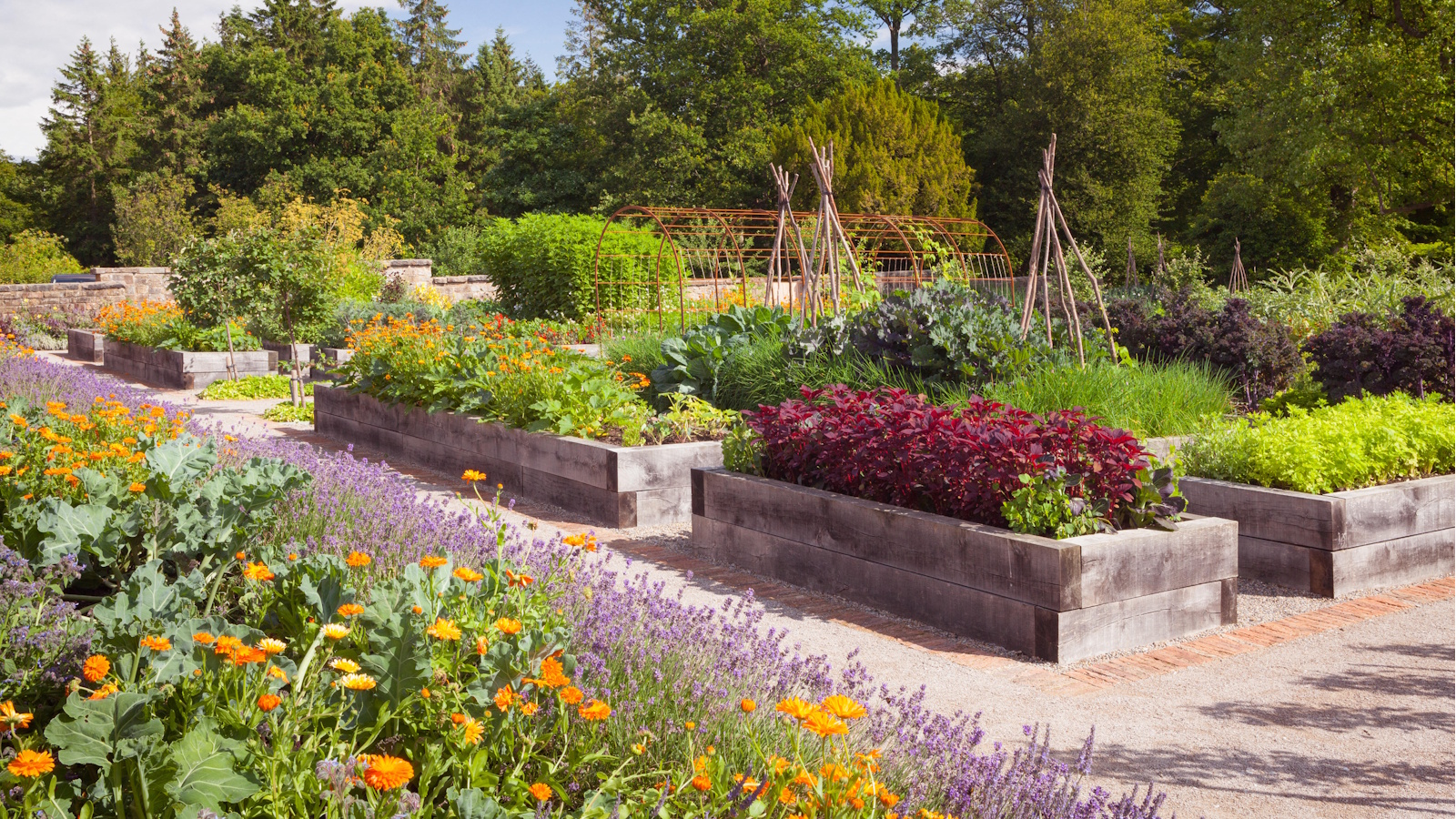 Kitchen garden full of raised garden beds in the sunshine