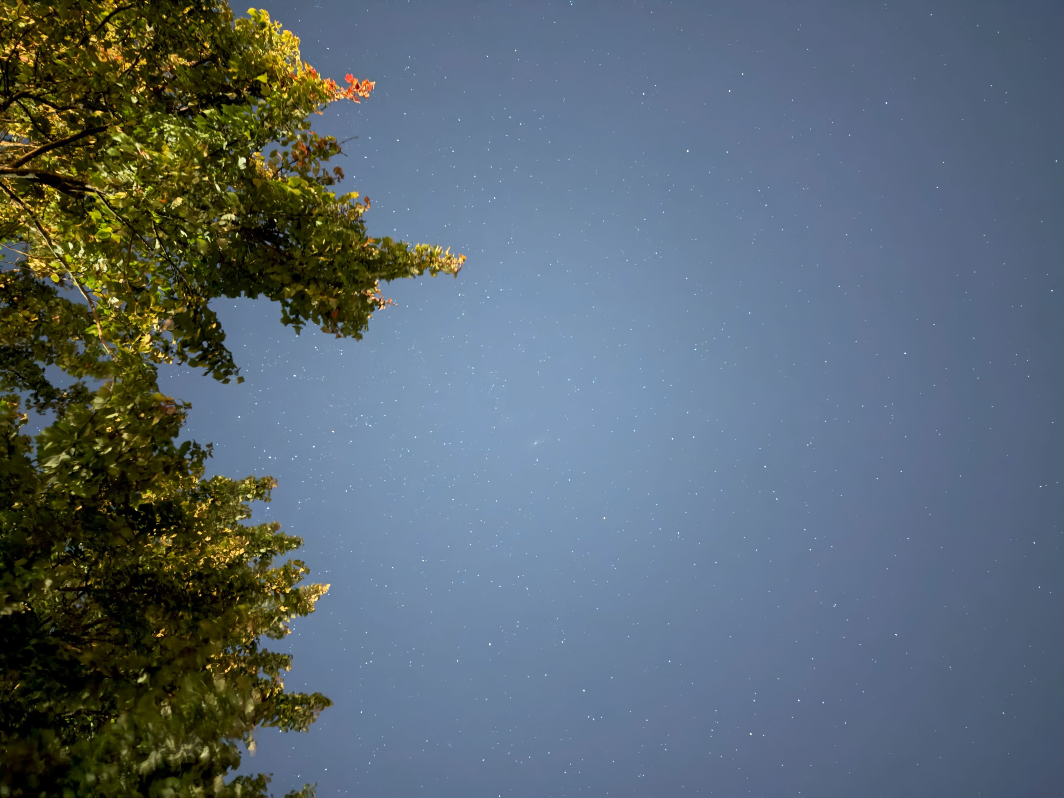 Apple iPhone 17 Pro astrophotography sample.