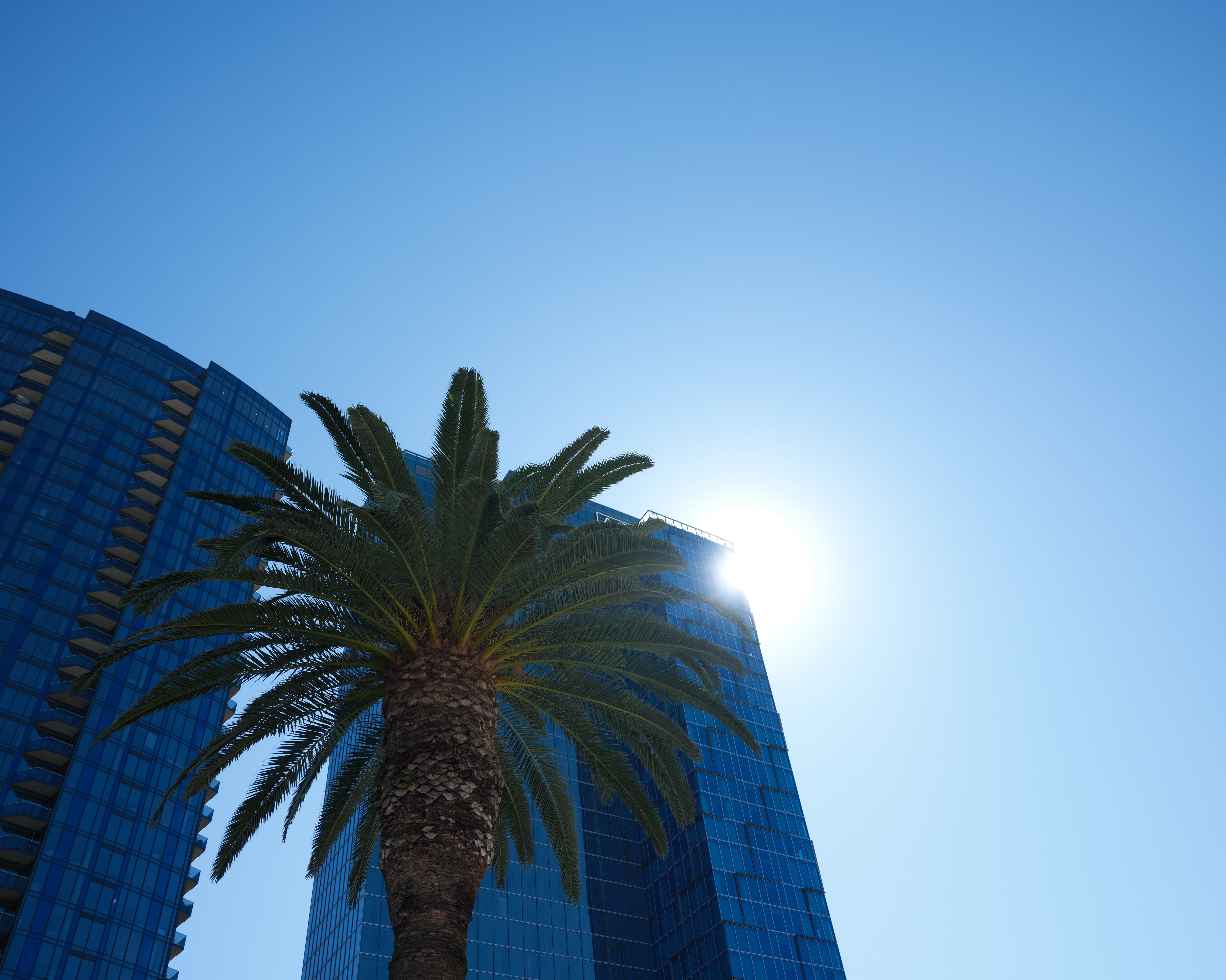 A sample image taken with the Fujifilm GFX100RF