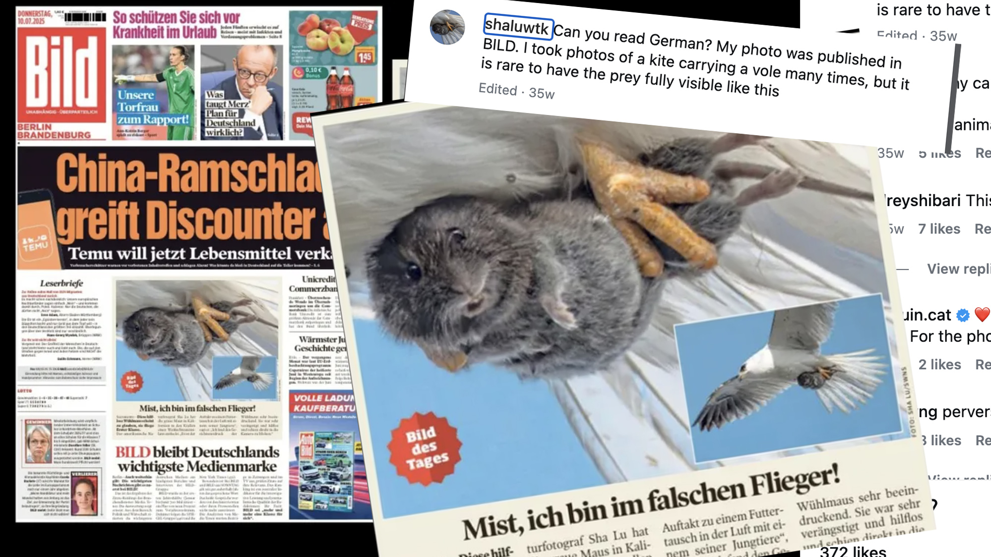 Front cover of German newspaper Bild with image of smiling vole in the talons of an eagle with Instagram comments