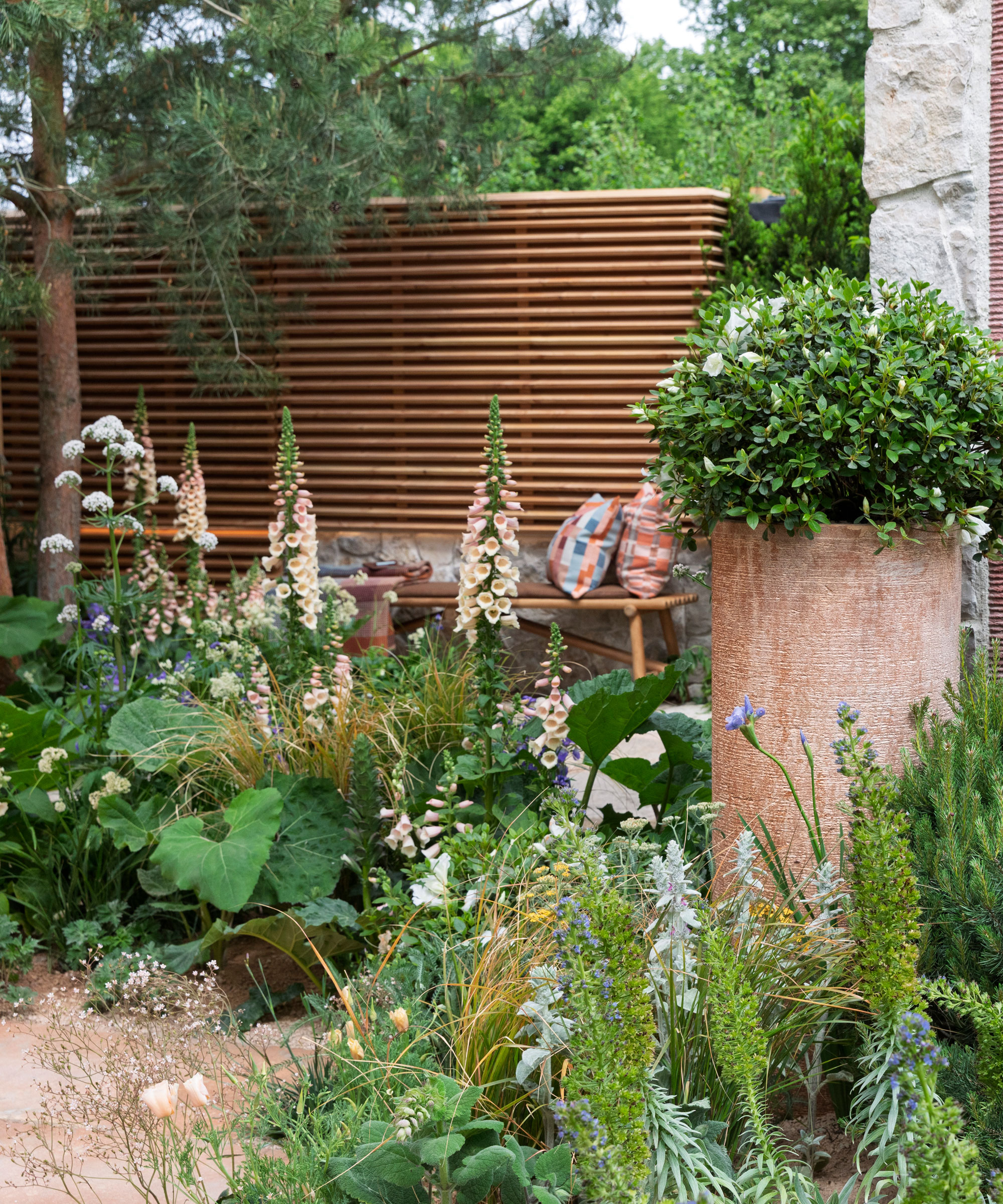 small patio with co-ordinated planting in a naturalistic style and accessories, garden bench with cushions, tall planter with clipped evergreen shrub