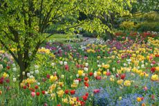 The magisterial garden at Hermannshof von Weinheim.