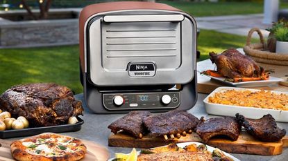 Ninja Woodfire Outdoor Oven: affordable, accessible, flawed