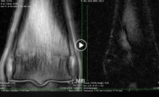 Screen-Shot-2019-03-29-at-7.21.59-PM.png