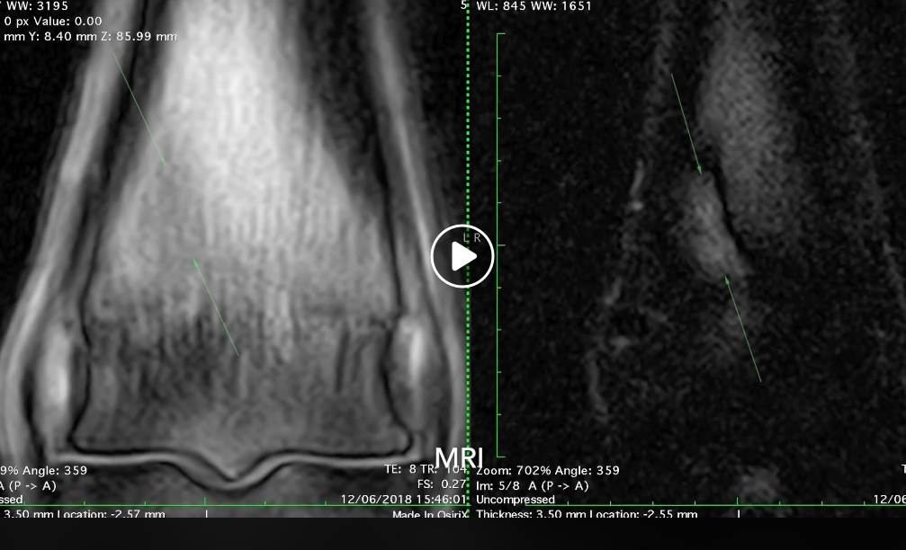 Screen-Shot-2019-03-29-at-7.21.59-PM.png