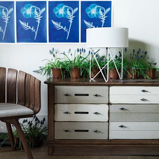 white room with drawers and potted plants