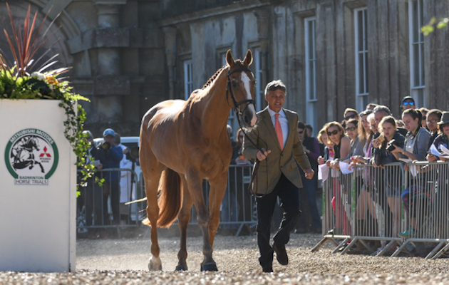 Final Badminton vet inspection