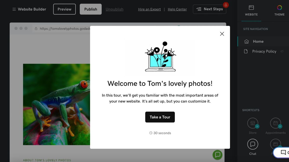 Screengrab showing AI-generated template for website featuring image of a frog