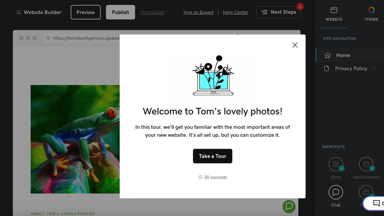 Screengrab showing AI-generated template for website featuring image of a frog
