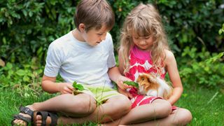 Two children feeding pet guinea pig