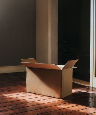 A cardboard box in a room with gray walls and a wooden floor