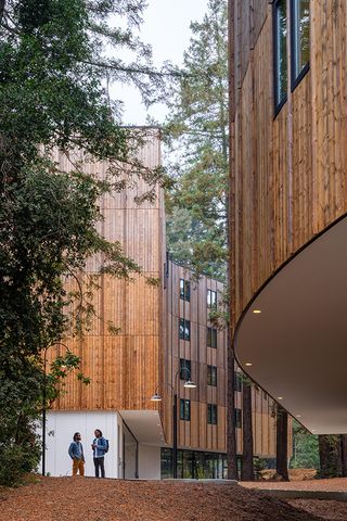curves and timber on the Kresge College extension by Studio Gang exterior