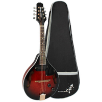 Rocket MAE02 electro acoustic mandolin: