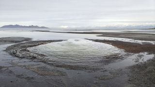 Mirabilite deposits often beneath the waters of the Great Salt Lake in winter, but this is the first time it has formed exposed mounds above the surface.